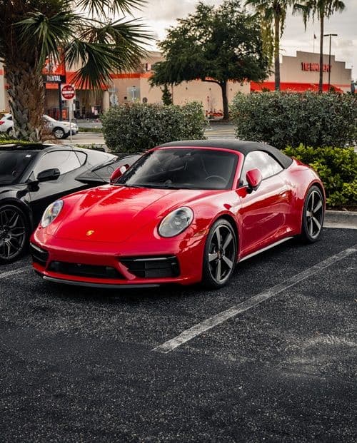 Exotics on the Coast - Image 2
