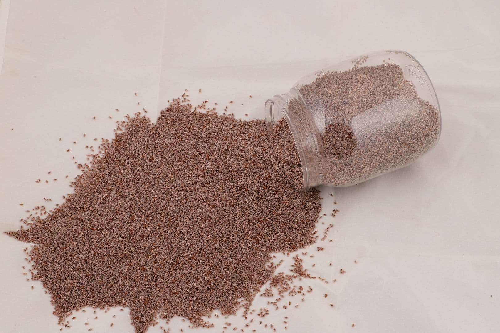 Gayatri Psyllium Industries - Image 5
