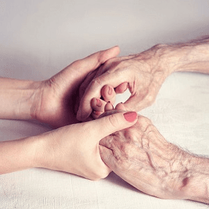 Evergreen Elderly Care, Inc.