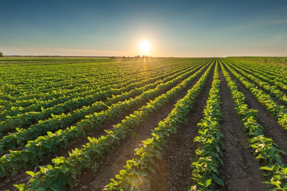 Nufarm Canada