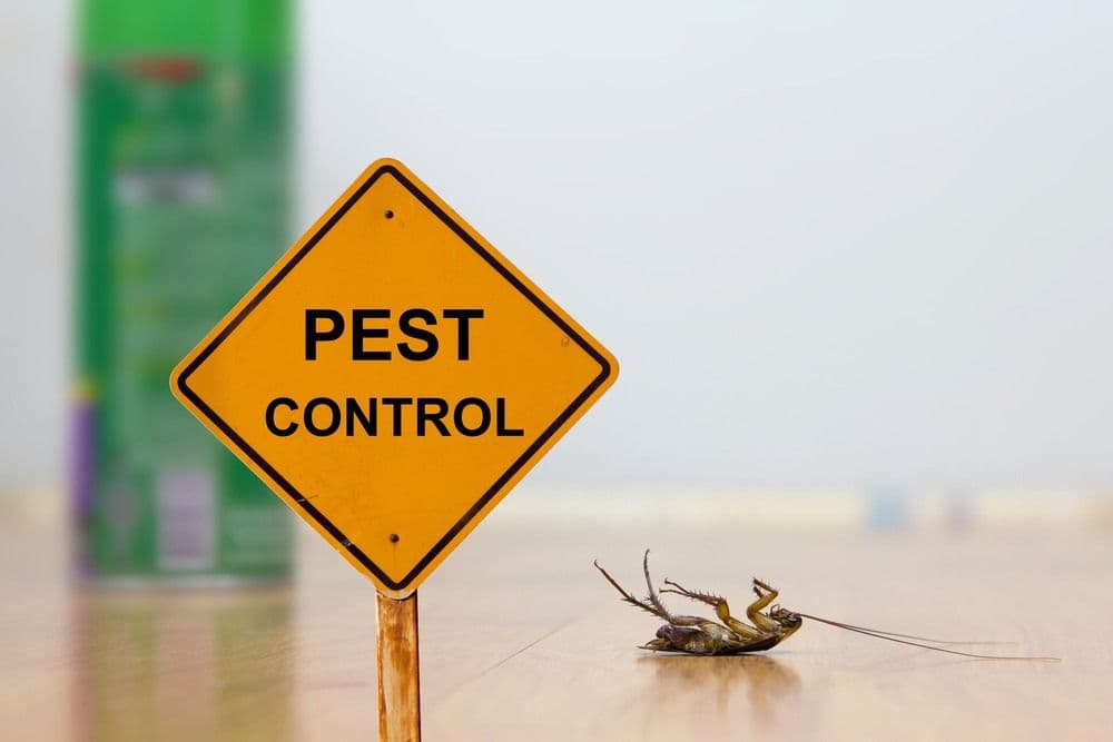 ASM Pest Exterminator