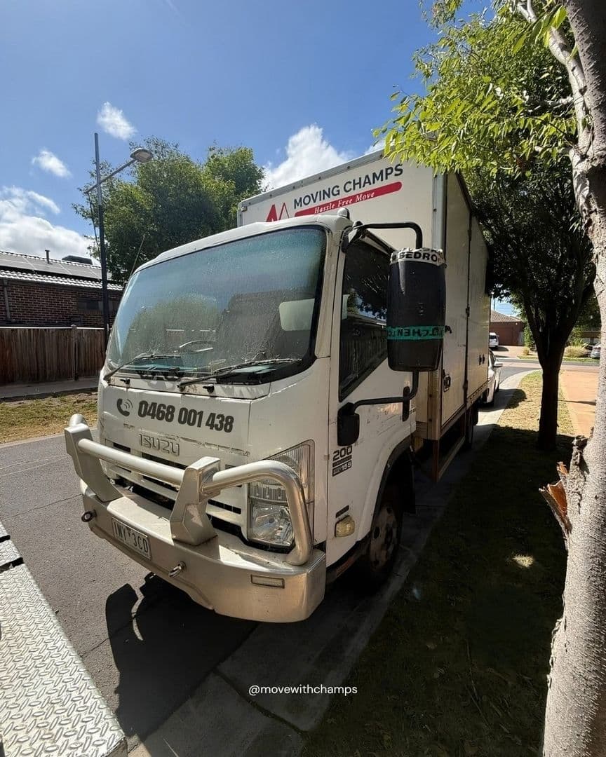 Moving Champs - Image 5
