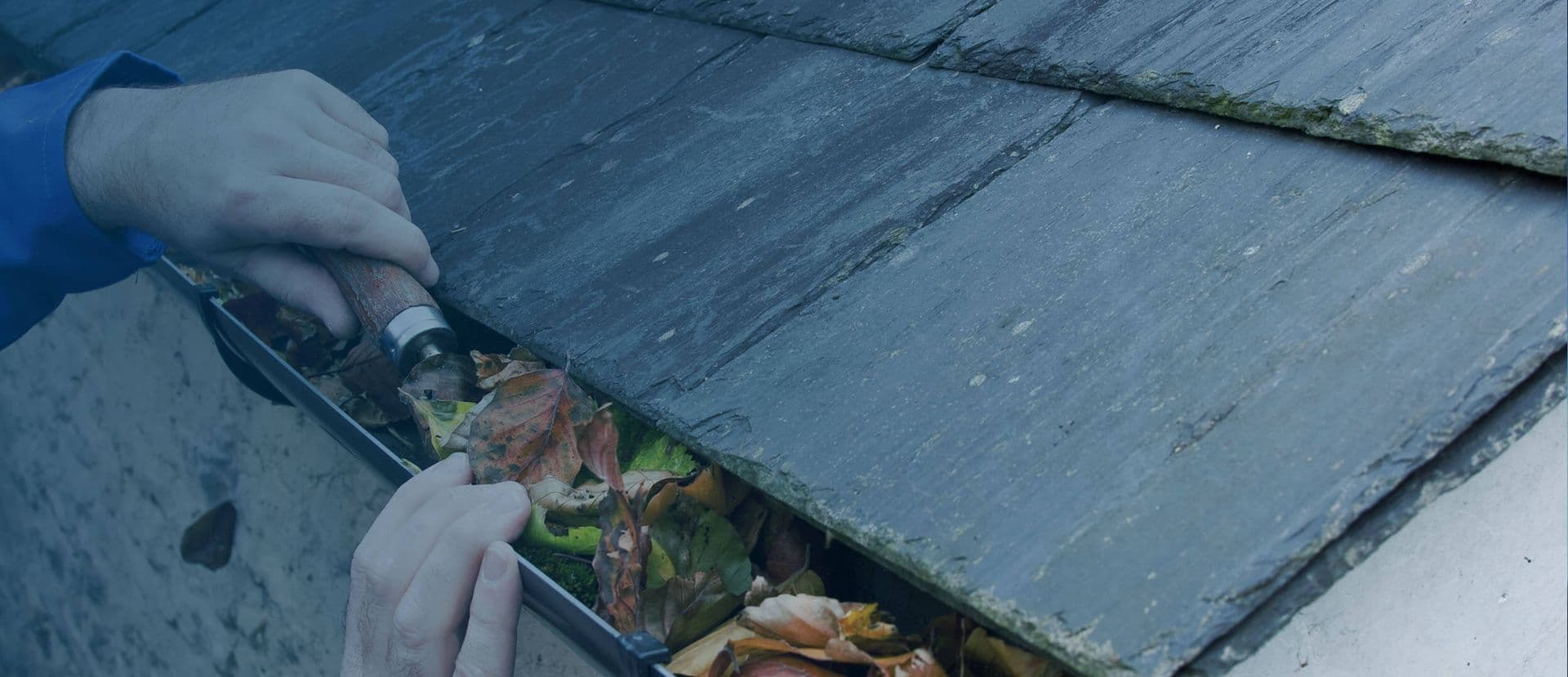 Mario's Gutter Cleaning - Image 2