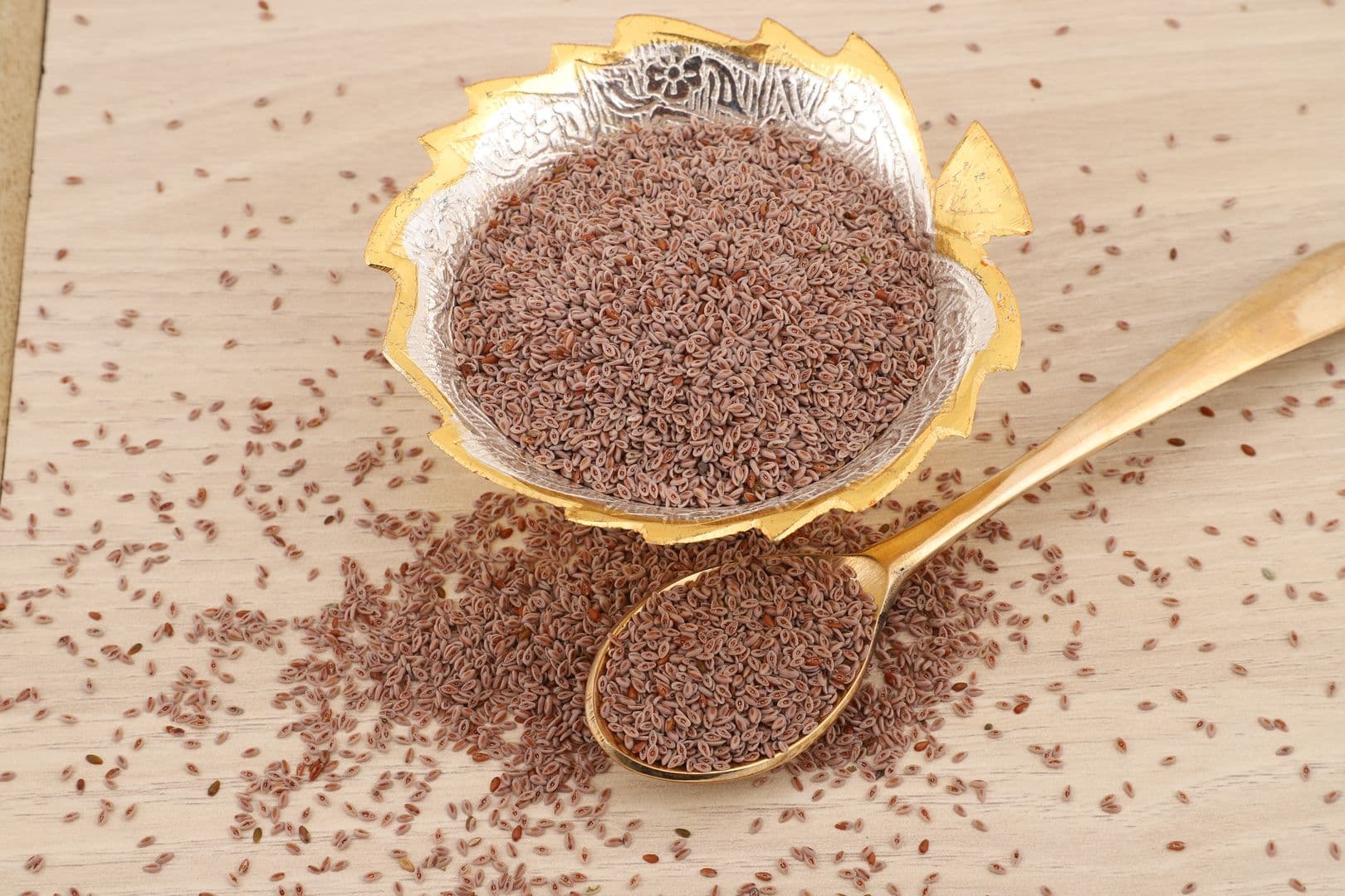 Gayatri Psyllium Industries - Image 4