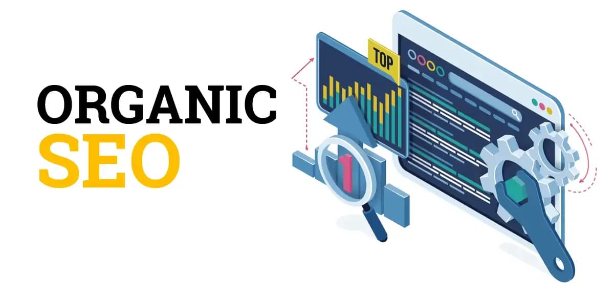 Organic Seo Services cover photo