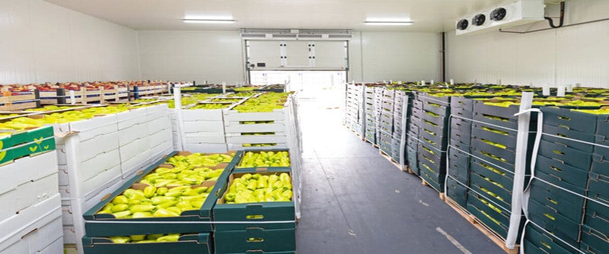 Meat and Potatoes Organizing