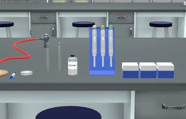 PraxiLabs