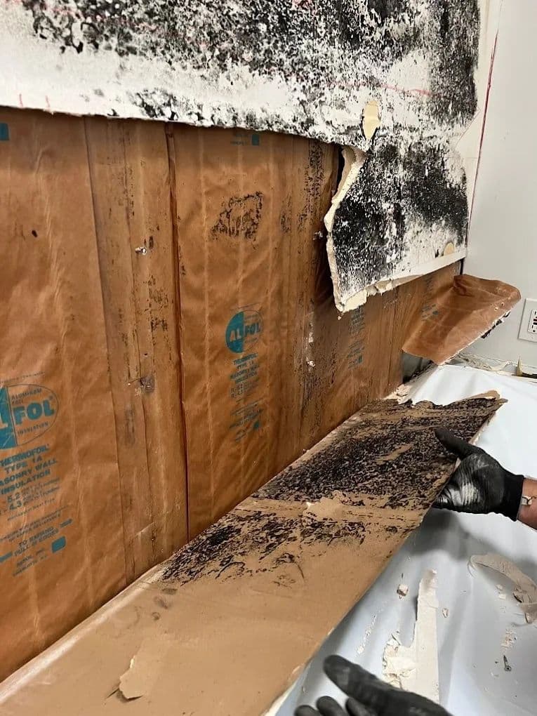 BuildEase by Florida Mitigation Group - Image 4