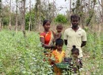 Project Chirag