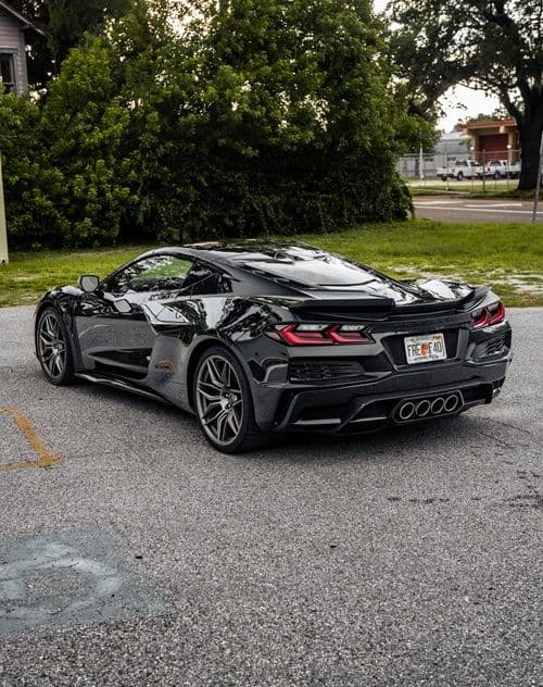 Exotics on the Coast - Image 5
