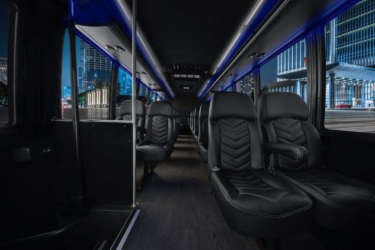 Deluxe Limousine & Transportation of Houston - Image 2