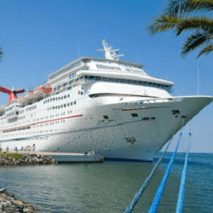 Alpha Voyages Travel - Image 3