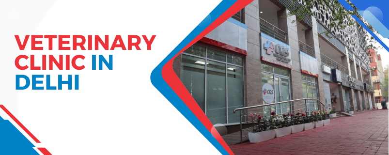 Veterinary Hospital Near Me | CGS Hospital - Image 2