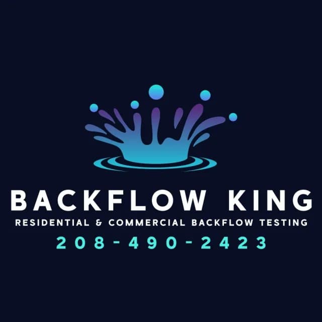 Backflow King cover photo