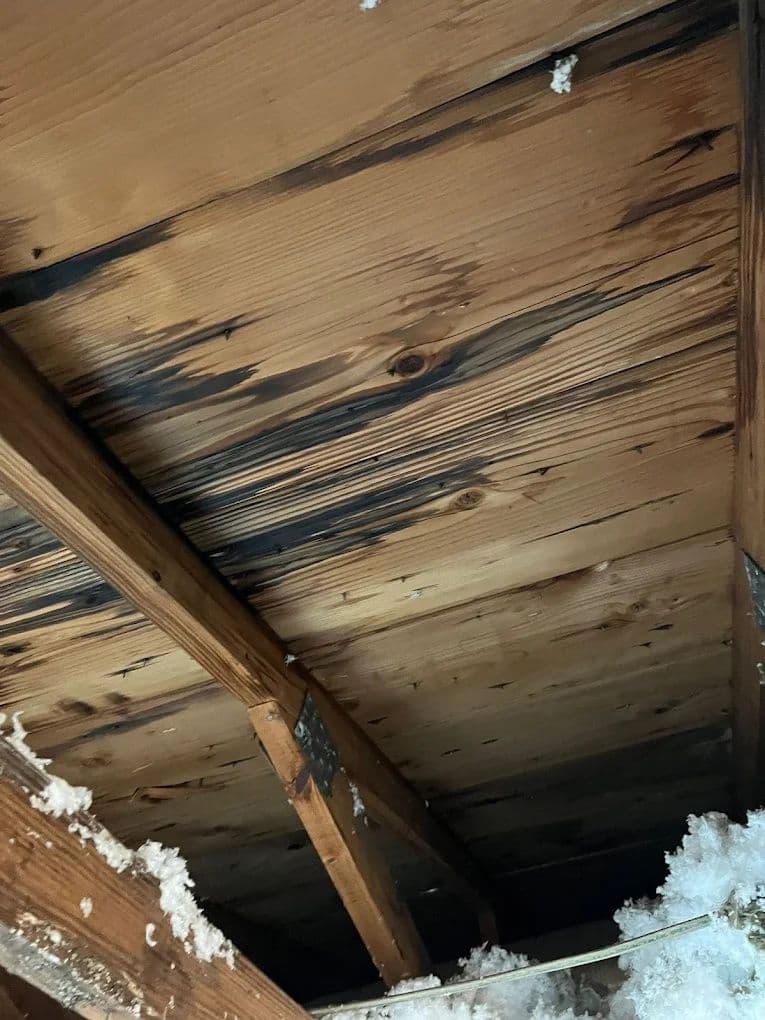 BuildEase by Florida Mitigation Group