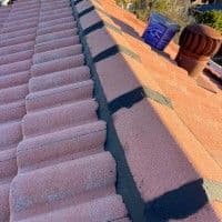 Bass Roof Restoration - Image 2