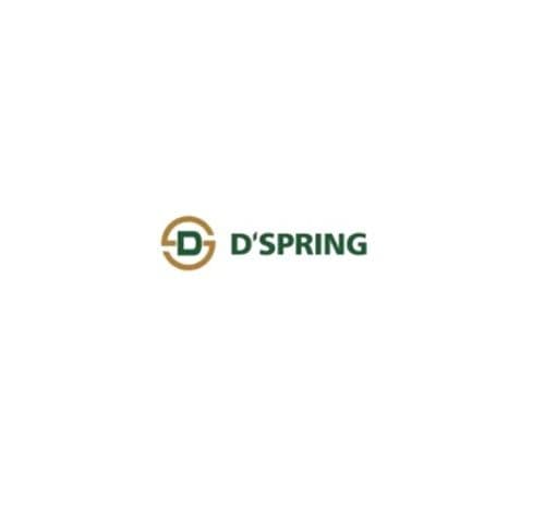 D'Spring Enterprise Holdings Pte Ltd