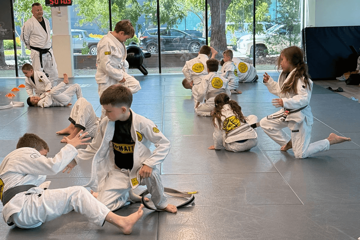 Gracie Jiu Jitsu Botany - Image 2