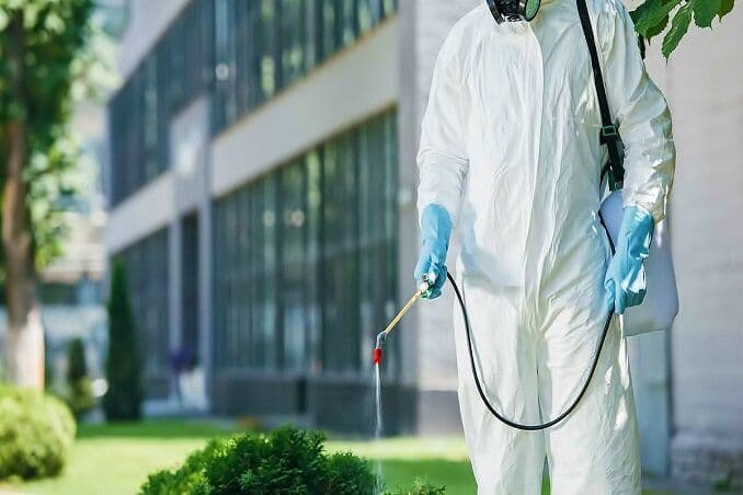 North Star Pest Control