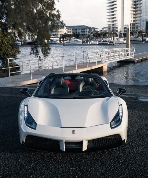 Exotics on the Coast - Image 3