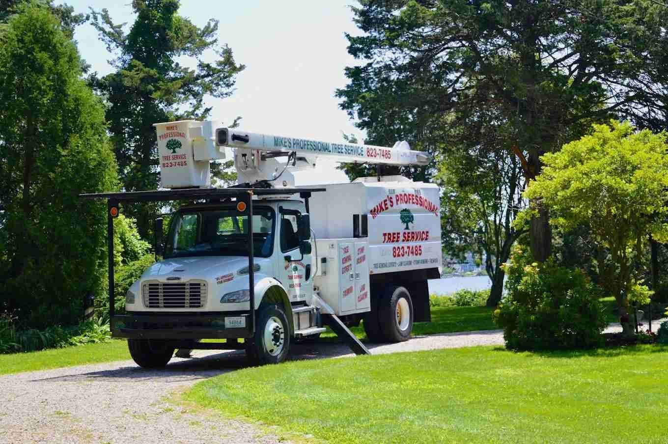 Mike's Professional Tree Service