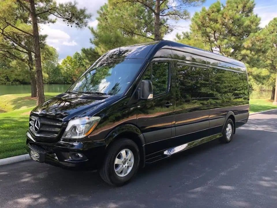 Deluxe Limousine & Transportation of Houston - Image 5