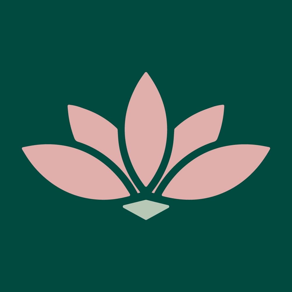 The Birth Store logo
