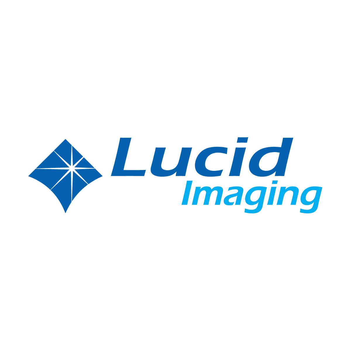 Lucid Imaging logo