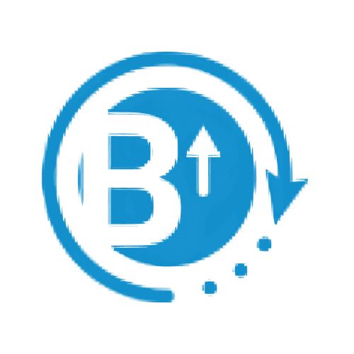 Baadshah Recovery Agency logo