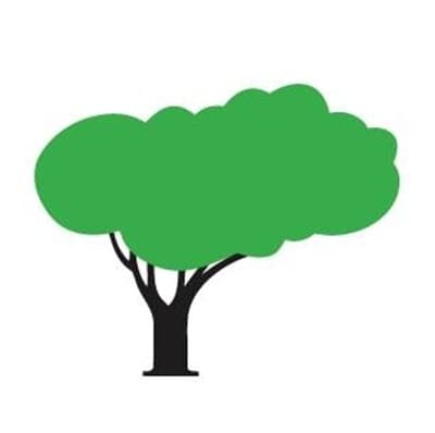 Green Magic Lawn and Landscape - SavATree logo