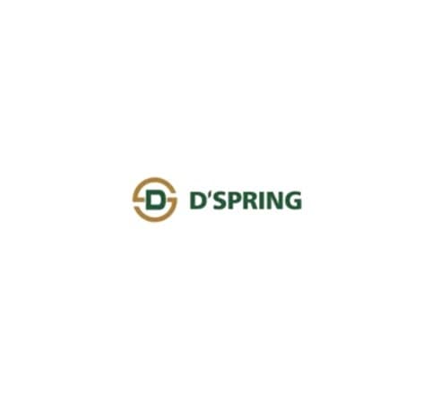 D'Spring Enterprise Holdings Pte Ltd logo
