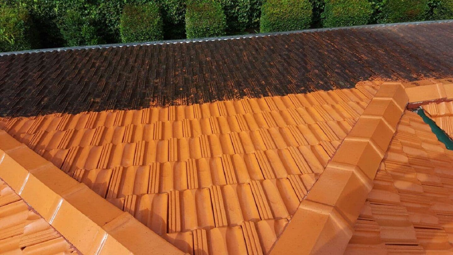 Able Roof Restoration