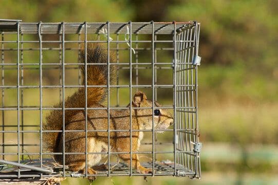 Pest Expel Canada cover photo