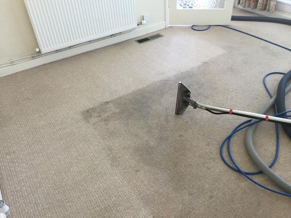 Alamo Carpet & Tile Cleaning