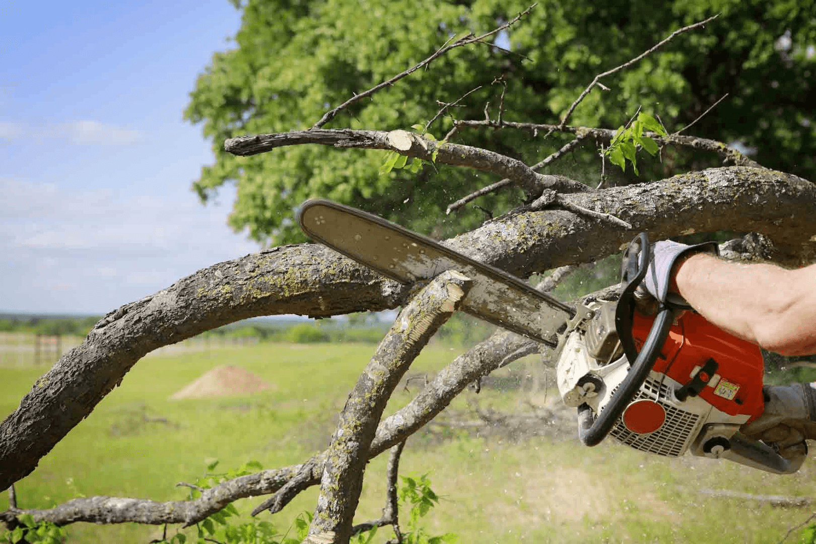 J Medina's Tree Service, Inc. cover photo
