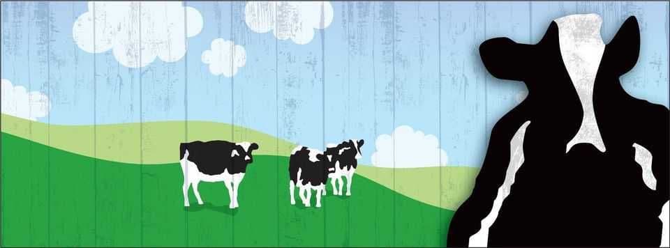 Ben & Jerry’s cover photo
