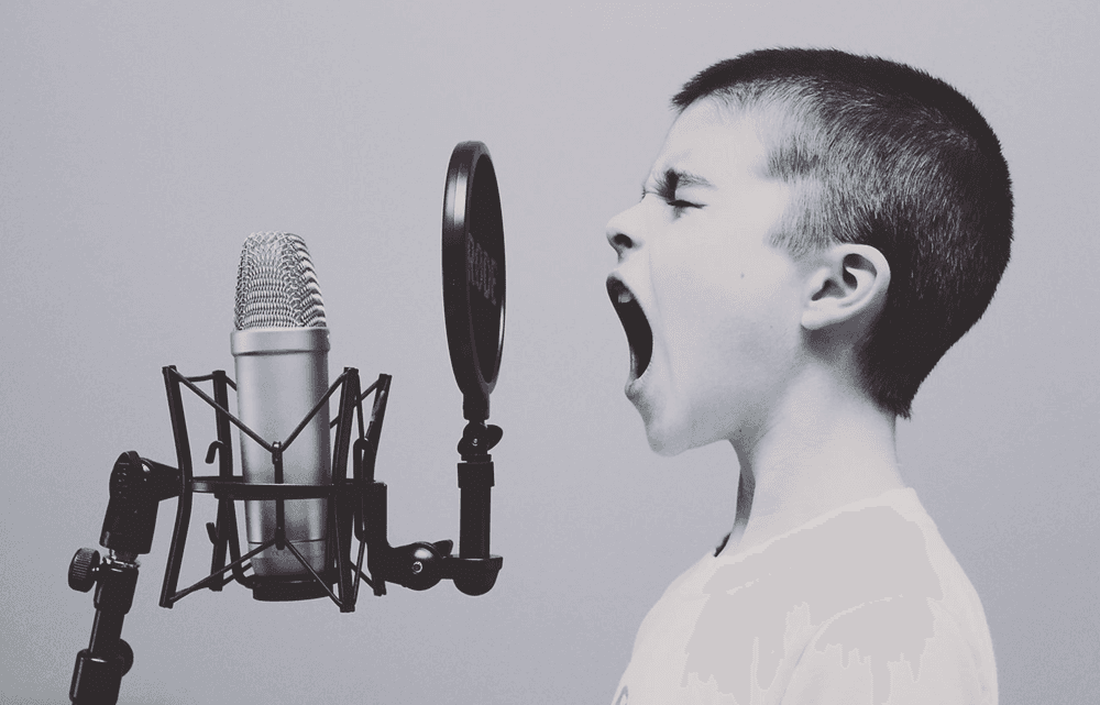 De Voice-Over Coach cover photo