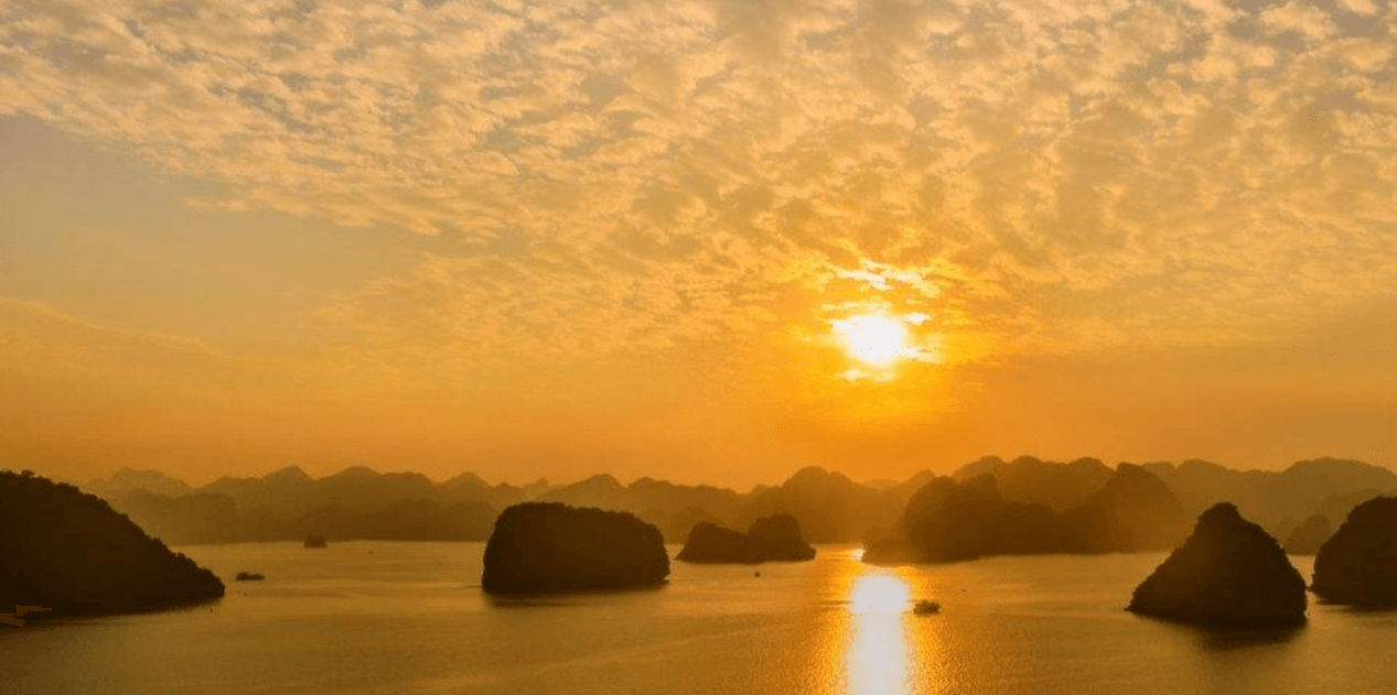 Threeland Travel cover photo