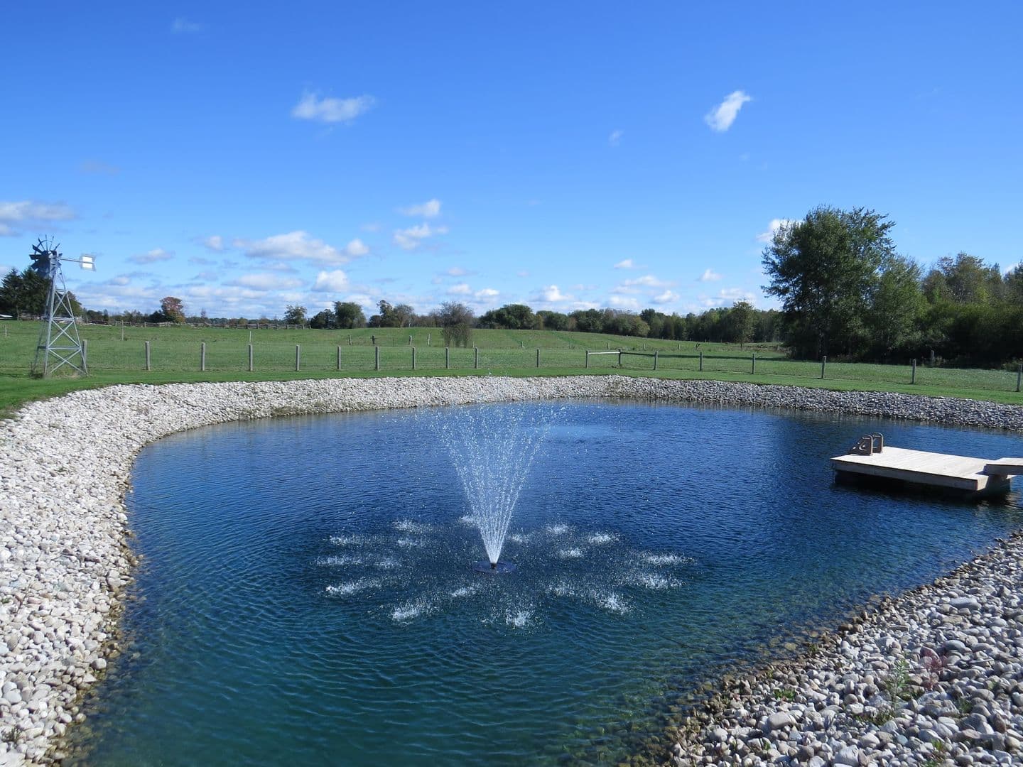 Pond Perfections cover photo