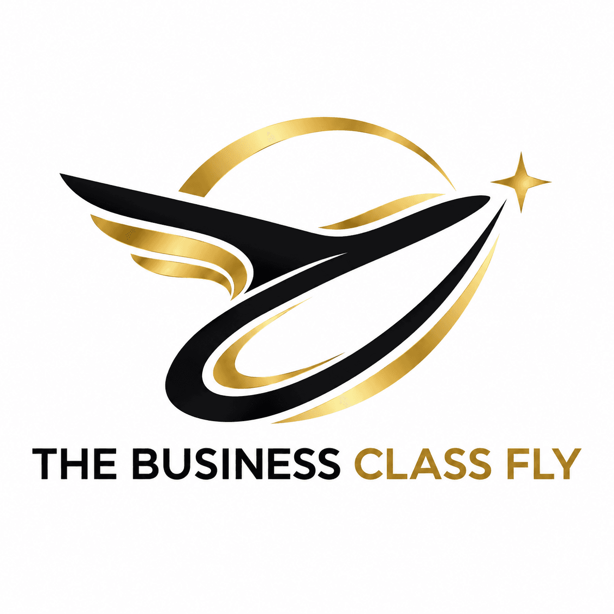 Thebusinessclassfly logo