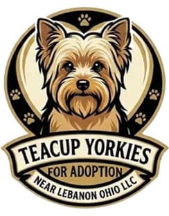 Teacup Yorkies for Adoption logo
