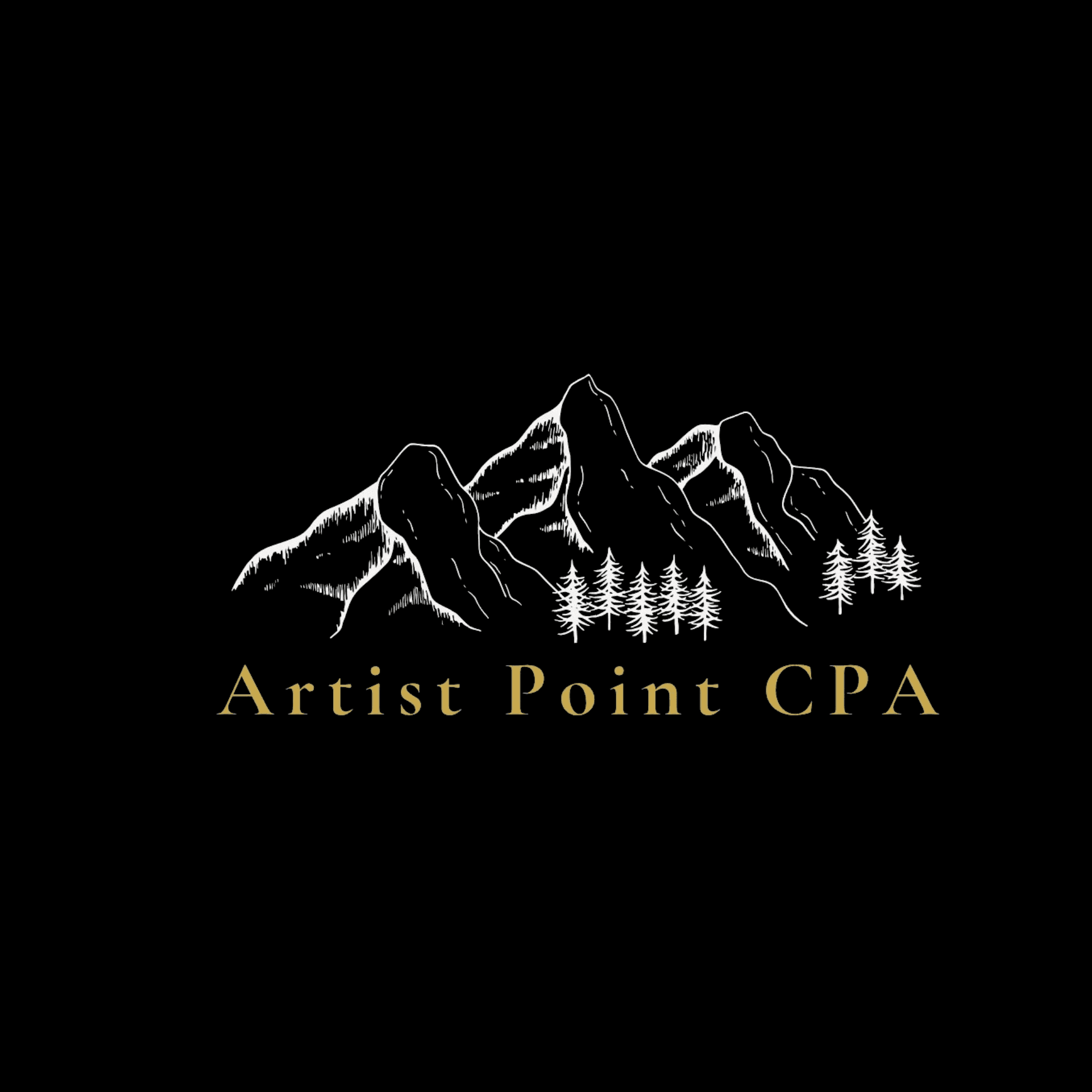 Artist Point CPA logo