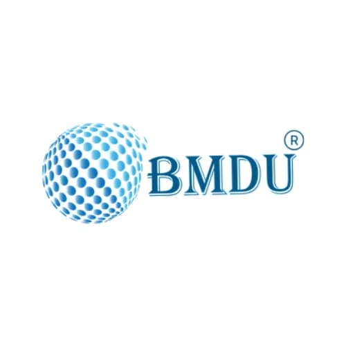 BM Digital Utilization logo