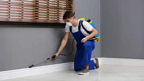 Why Are Termite Control Services in Lahore Essential for Property Owners? logo