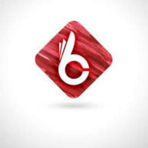 Brandatory - Digital Marketing Company logo