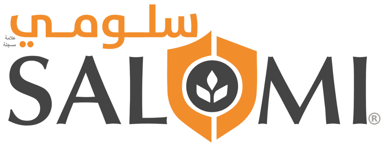 SALOMI logo
